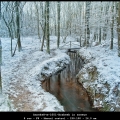AnnekeH-m-1601-Bosbeek in sneeuw