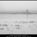 MarcelR-m-1602-Walking in the mist