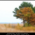 HannekeL-m-1609 - de Herfst is in aantocht
