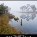 AnnekeH-m-1610-Holtveen