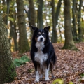 AnnekeH-m-1611-Willem