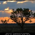 HenkV-m-1707 - Dwingelderveld bij zonsondergang