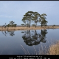 JanH-m-1703-spiegeling met wind