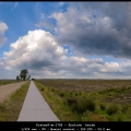 PieterP-m-1706 - Kralose heide