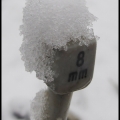 LydaB-m-1712-breinaald met sneeuwmuts-jpg