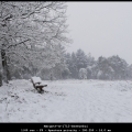 MargotV-m-1712-Sneeuwbui