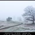 PieterP-m-1712 - Its Winter - panorama crop