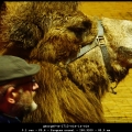 georgeV-m-1712-wie-is-wie