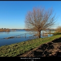 BertyW-m-1801-Hoogwater