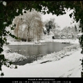 FransB-m-1801-Achtertuin