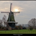 MargotV-m-1802-molen