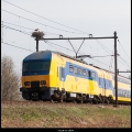 TonP-m-1804