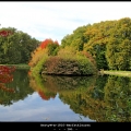 BertyW-m-1810-Herfstkleuren