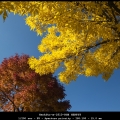 HenkStr-m-1810-RGB HERFST