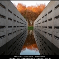 GeertO-m-1811-Deltagoot, Waterloopbos