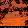 GeorgeV-m-1811-zonsondergang in Ansen