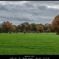HenkS-m-1811