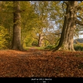 JanF-m-1811-Herfst