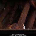 HarmB-m-1812-Roestkrabber