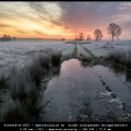 PieterP-m-1812 - Spectaculaire en  koude zonsopkomst Dwingelderveld