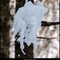 JannieL-m-1902 winter