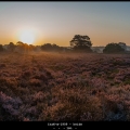 InaK-m-1909-heide