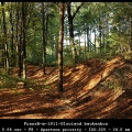 FransB-m-1911-Glooiend-beukenbos