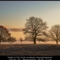 HenkStr-m-1912-Koude-zonsopkomst-Boerenveenseplassen