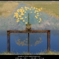 HarmB-m-2204-dubbelexposure-