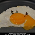 BertyW-m-2209-Op-naar-scrambled-eggs