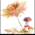 HarmB-m-2210-Herfst