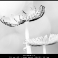 patrickb-m-2210