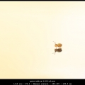 patrickb-m-1122-alone
