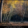 PieterP-m-2212-Laatste-restje-Herfst