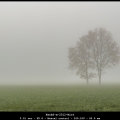 HenkS-m-2312-Mist