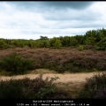 KarinE-m-2309-Mantingerzand