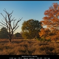 HenkS-m-2311-Herfst