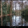 JanF-m-2401-veel-water