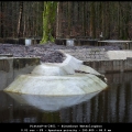 PieterP-m-2401-Nieuwbouw-Waterloopbos