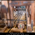 JannieL-m-24-06-Van-dik-hout