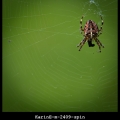 KarinE-m-2409-spin