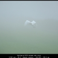 Gerlap-m-1024-morgen-met-mist