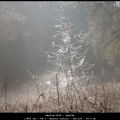 JanF-m-2410-herfst