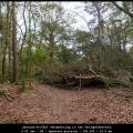 JannieL-m-2410-versperring-in-het-Dwingelderveld
