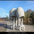 JannieL-m-2411-Paddenstoelen-in-Deventer