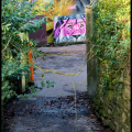 GeorgeV-M-2502-Rensenpark-leeuwenkuil