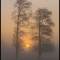 JanF-m-2505-zon-door-de-mist